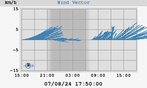 Wind Vector