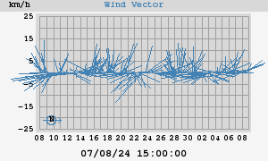 Wind Vector