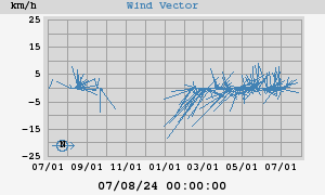 Wind Vector